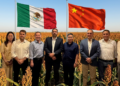 Sinaloa busca exportar sorgo a China; autoridades reciben a comitiva asiática