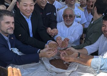 Primer embarque de sorgo sinaloense a China abre nuevas oportunidades para productores de Ahome